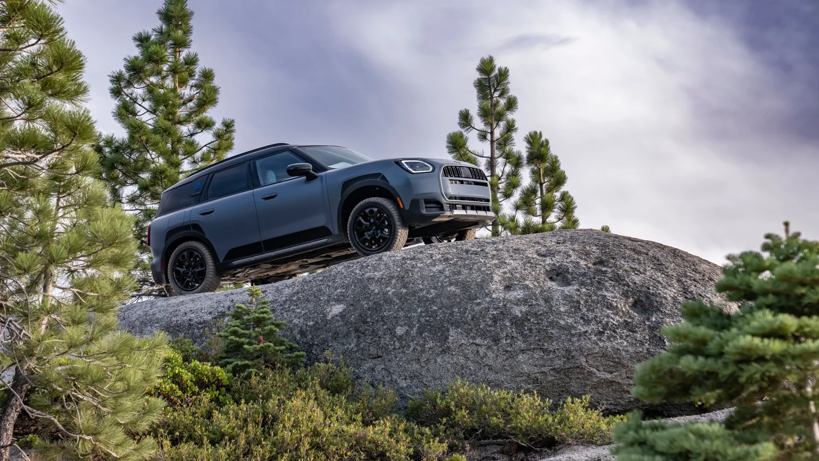 MINI Countryman Untamed Edition gri urcând peste stânci într-o pădure de conifere.