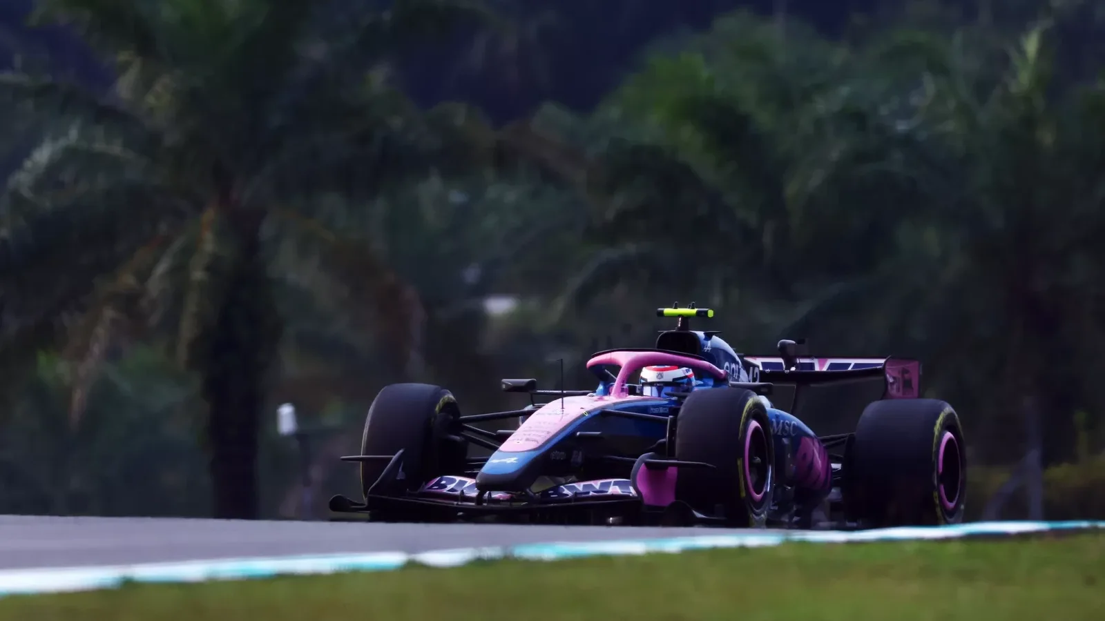 Monopost Alpine de Formula 1 în culorile roz și albastru, fotografiat pe circuitul Sepang din Malaezia, cu vegetație tropicală în fundal.
